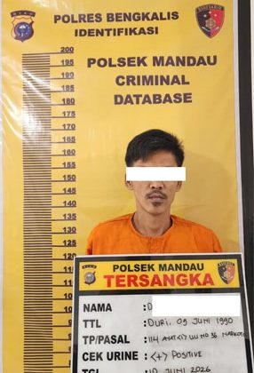 Polsek Mandau Tangkap Pemasok Sabu Hasil Pengembangan Kasus, Satu Tersangka dan Barang Bukti Diamankan