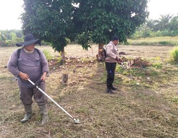 Pembersihan lahan di kawasan Kantor Camat Siak Kecil, Desa Lubuk Muda, Kecamatan Siak Kecil. (Foto: ist)