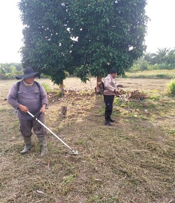 Pembersihan lahan di kawasan Kantor Camat Siak Kecil, Desa Lubuk Muda, Kecamatan Siak Kecil. (Foto: ist)