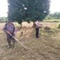 Pembersihan lahan di kawasan Kantor Camat Siak Kecil, Desa Lubuk Muda, Kecamatan Siak Kecil. (Foto: ist)