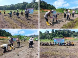 Penanaman Jagung Serentak Kuartal II Tahun 2026 di kawasan Kampung Telipuk, Desa Bukit Padi. (Foto: ist)