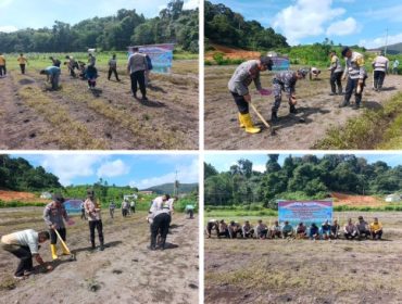 Penanaman Jagung Serentak Kuartal II Tahun 2026 di kawasan Kampung Telipuk, Desa Bukit Padi. (Foto: ist)