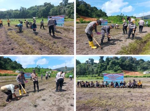 Penanaman Jagung Serentak Kuartal II Tahun 2026 di kawasan Kampung Telipuk, Desa Bukit Padi. (Foto: ist)
