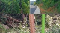 Sejumlah Tiang Listrik di Jalan Baru Teluk Kaut–Mampok Terancam Roboh, Warga Khawatir