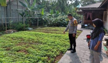 Pengecekan lahan pertanian palawija dan sayuran milik warga. (Foto: ist)