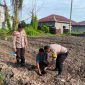 Pengecekan lahan P2B tanaman jagung pipil milik warga. (Foto: ist)