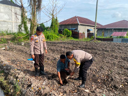 Pengecekan lahan P2B tanaman jagung pipil milik warga. (Foto: ist)