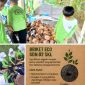 Rangkain kegiatan SD N 002 Seri Kuala Lobam, Kabupaten Bintan, Kepulauan Riau. (Foto: ist)