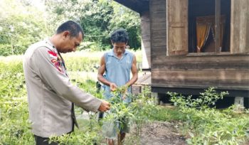 Peninjauan tanaman Pekarangan Pangan Bergizi (P2B) jenis cabai milik warga. (Foto: ist)