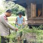 Peninjauan tanaman Pekarangan Pangan Bergizi (P2B) jenis cabai milik warga. (Foto: ist)