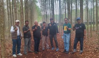 KADIN Riau mengunjungi sentra budidaya pohon geronggang yang dikelola Kop-PIPMPL di Desa Air Putih, Kecamatan Bengkalis,
