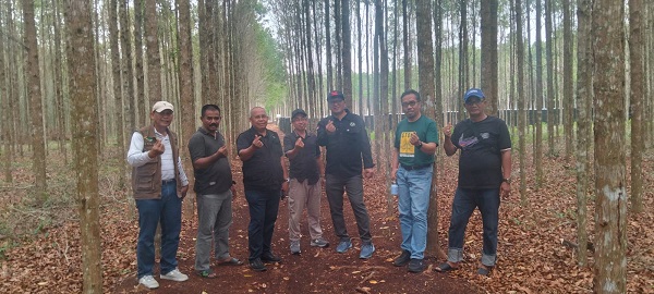 KADIN Riau mengunjungi sentra budidaya pohon geronggang yang dikelola Kop-PIPMPL di Desa Air Putih, Kecamatan Bengkalis,