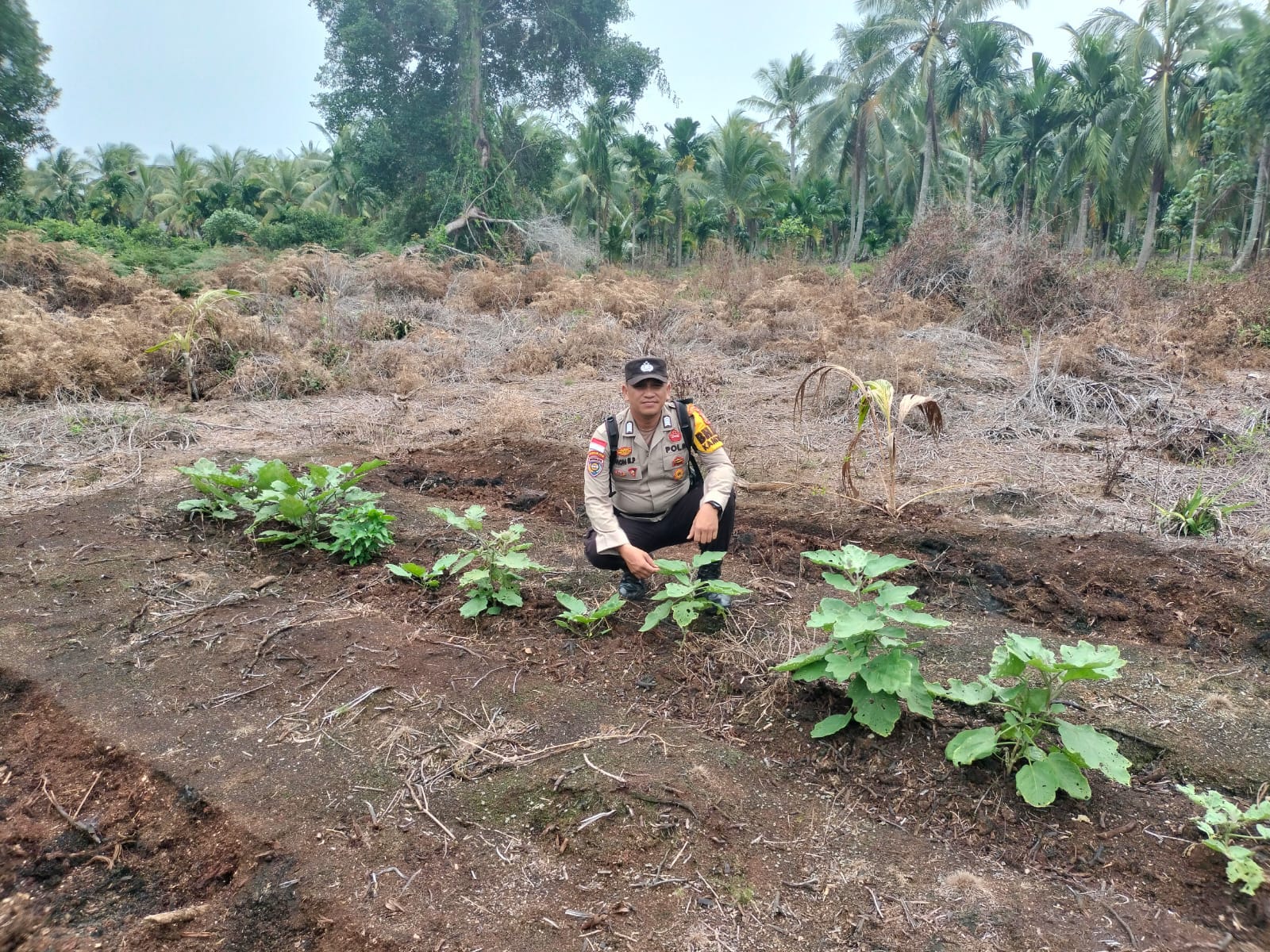 Polsek Rangsang Cek Ketahanan Pangan di Desa Tanjung Medang