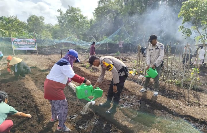 Bhabinkamtibmas Cek Lahan Jagung Pipil Warga di Desa Sokop