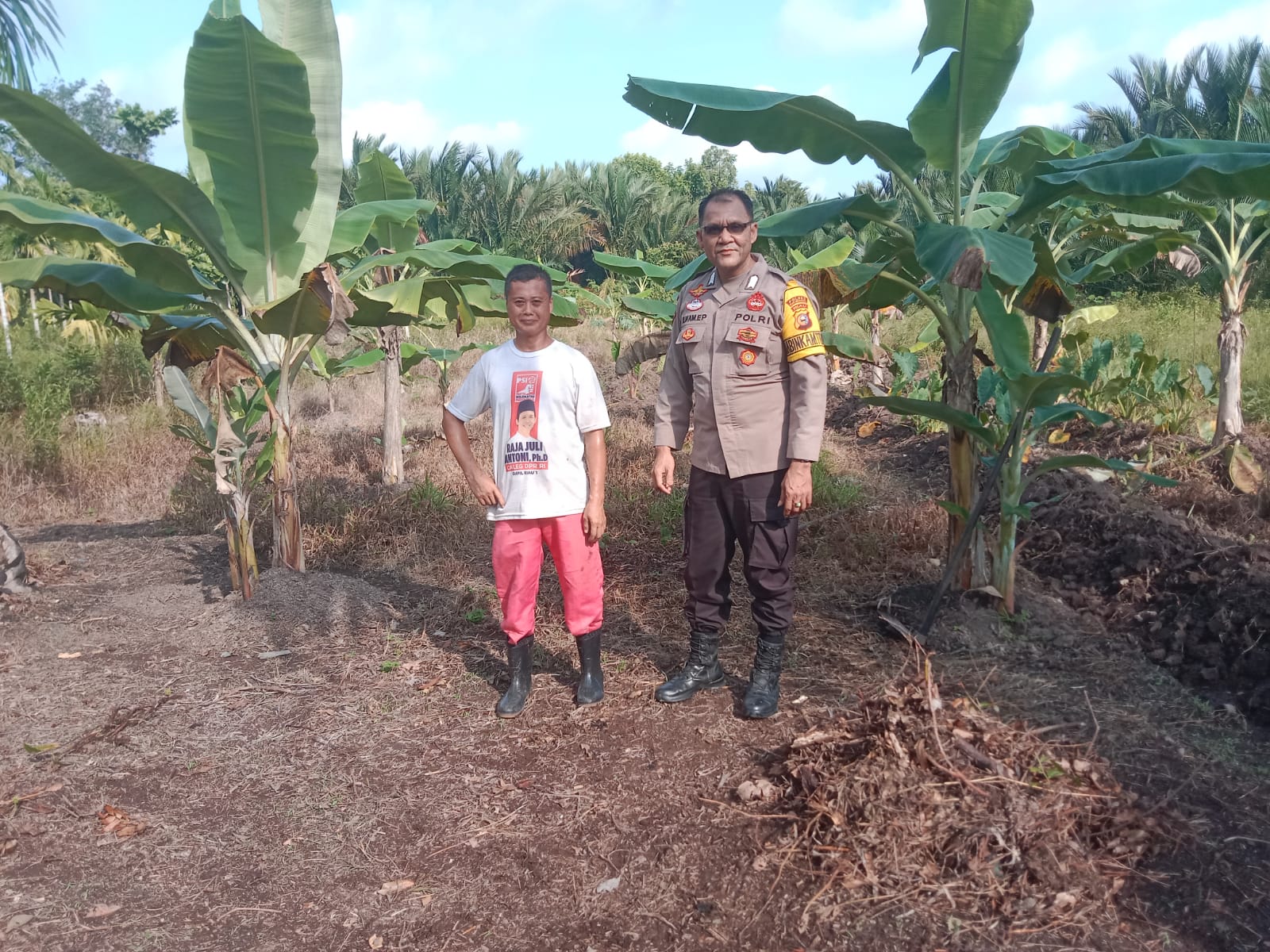 Polsek Tebingtinggi lakukan Pengecekan Perkebunan Pisang Milik Warga di Desa Sesap