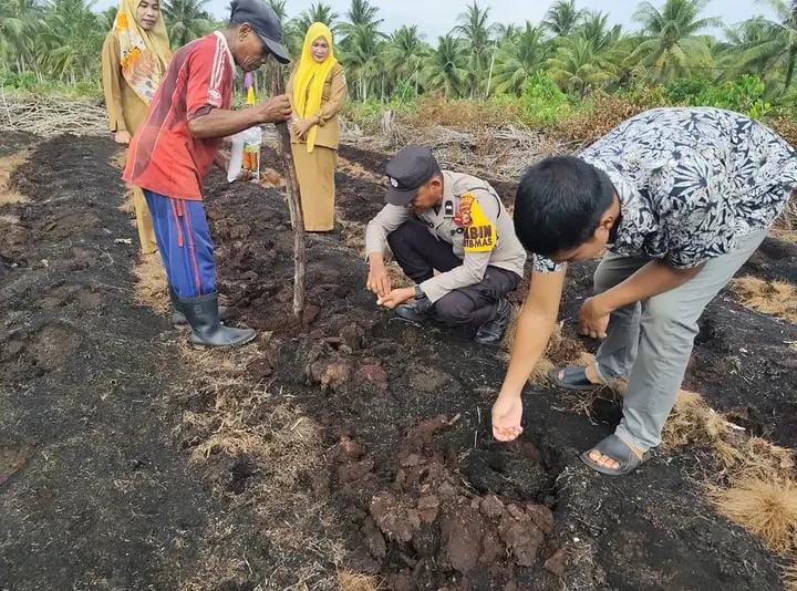 Pastikan Jagung Tumbuh Subur, Polsek Rangsang Turun Bantu Warga