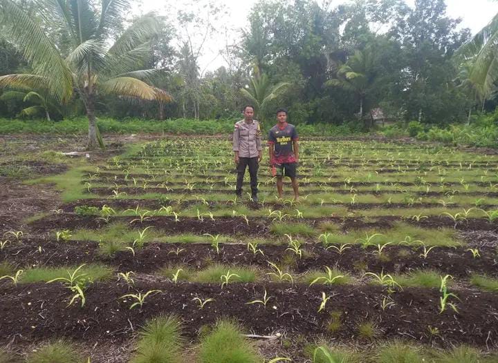 Polsek Rangsang Cek Program Pekarangan Pangan Bergizi di Meranti