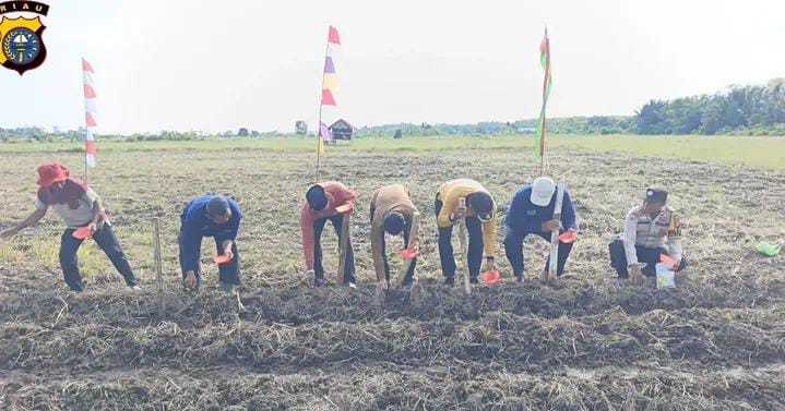 Polsek Rangsang Cek Lahan Jagung Pipil 2026 di Desa Kedabu Rapat