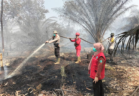 Penanganan Kebakaran Hutan dan Lahan (Karhutla) di  kec. Bandar Laksmana desa Tanjung Leban. (Foto: ist)