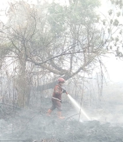 Kebakaran hutan dan lahan (Karhutla) di Kecamatan Kerumutan, Kabupaten Pelalawan, Riau. (Foto: ist)