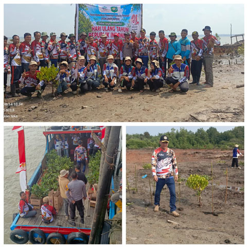 Menanam batang bibit pohon Mangrove. (Foto: ist)