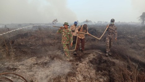 Pemadaman danpendinginan Karhutla di Desa Pulau Kecil, Kecamatan Reteh, Kabupaten Indragiri Hilir (Inhil), Riau. . (Foto: ist)