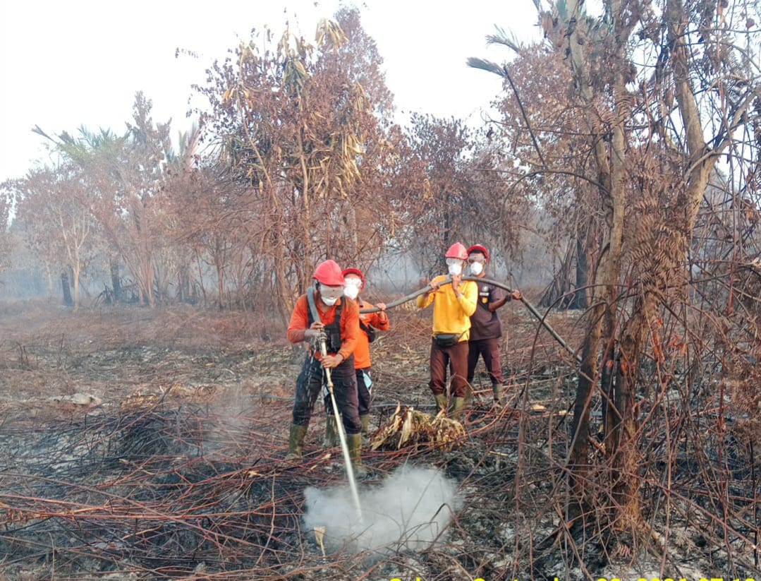 PT NSP Turunkan Tim Brigdalkarhutla Padamkan Karhutla di Desa Gemalasari