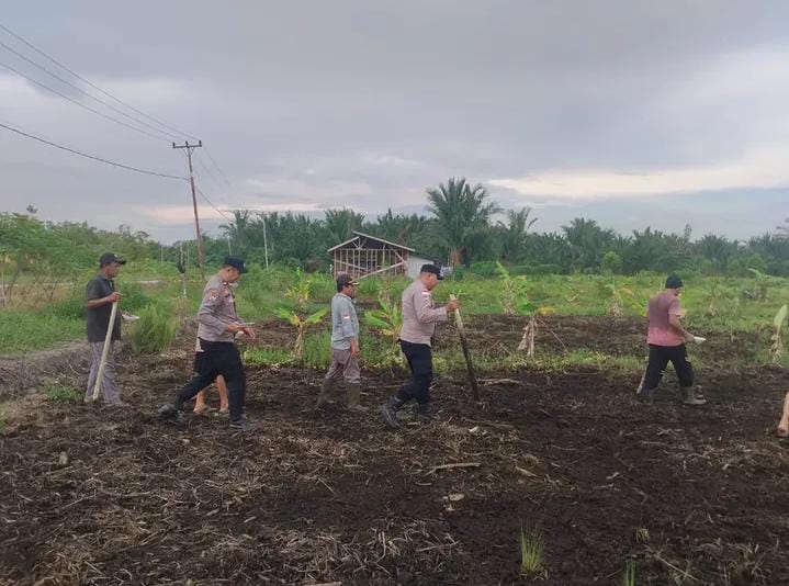 Polsek Rangsang Cek Lahan Jagung Pipil di Desa Penyagun