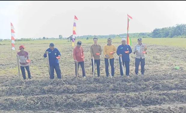 Polsek Rangsang Cek Lahan Jagung Pipil di Desa Kedabu Rapat, Dukung Ketahanan Pangan