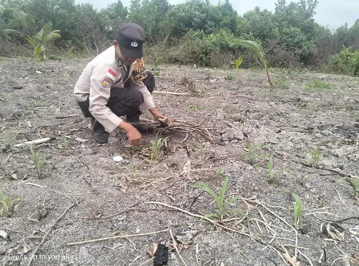 Polsek Rangsang Cek Lahan Jagung Pipil di Desa Dwi Tunggal