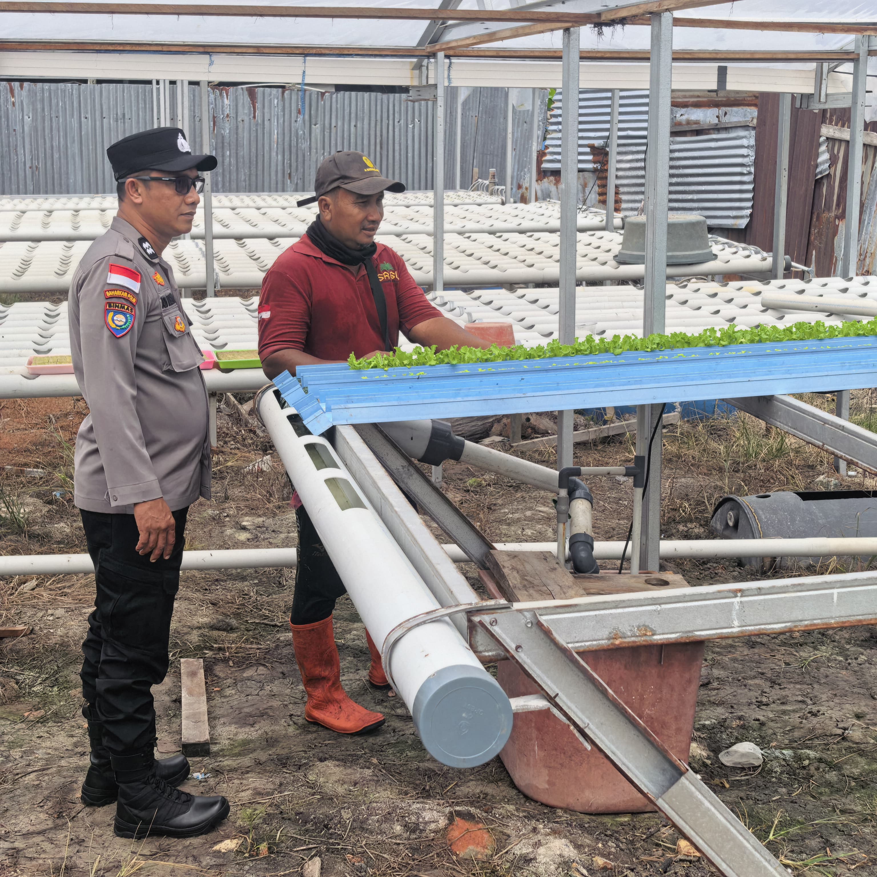 Polsek Tebing Tinggi Dampingi Pengembangan Budidaya Lele untuk Dukung Ketahanan Pangan