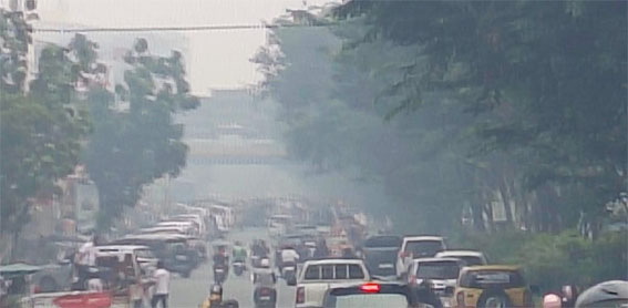 Bahaya! Udara Pekanbaru Sangat Tidak Sehat