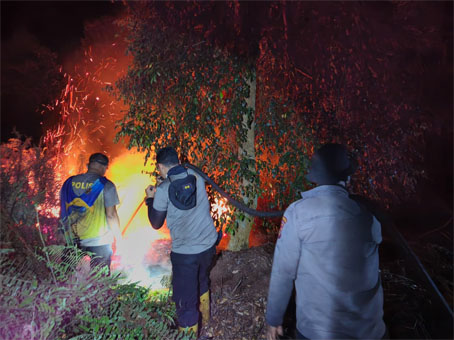 Petugas  memadamkan di tengah hamparan lahan gambut yang terbakar di Dusun Penapat, Desa Gemala Sari, Kecamatan Rangsang. (Foto: ist)