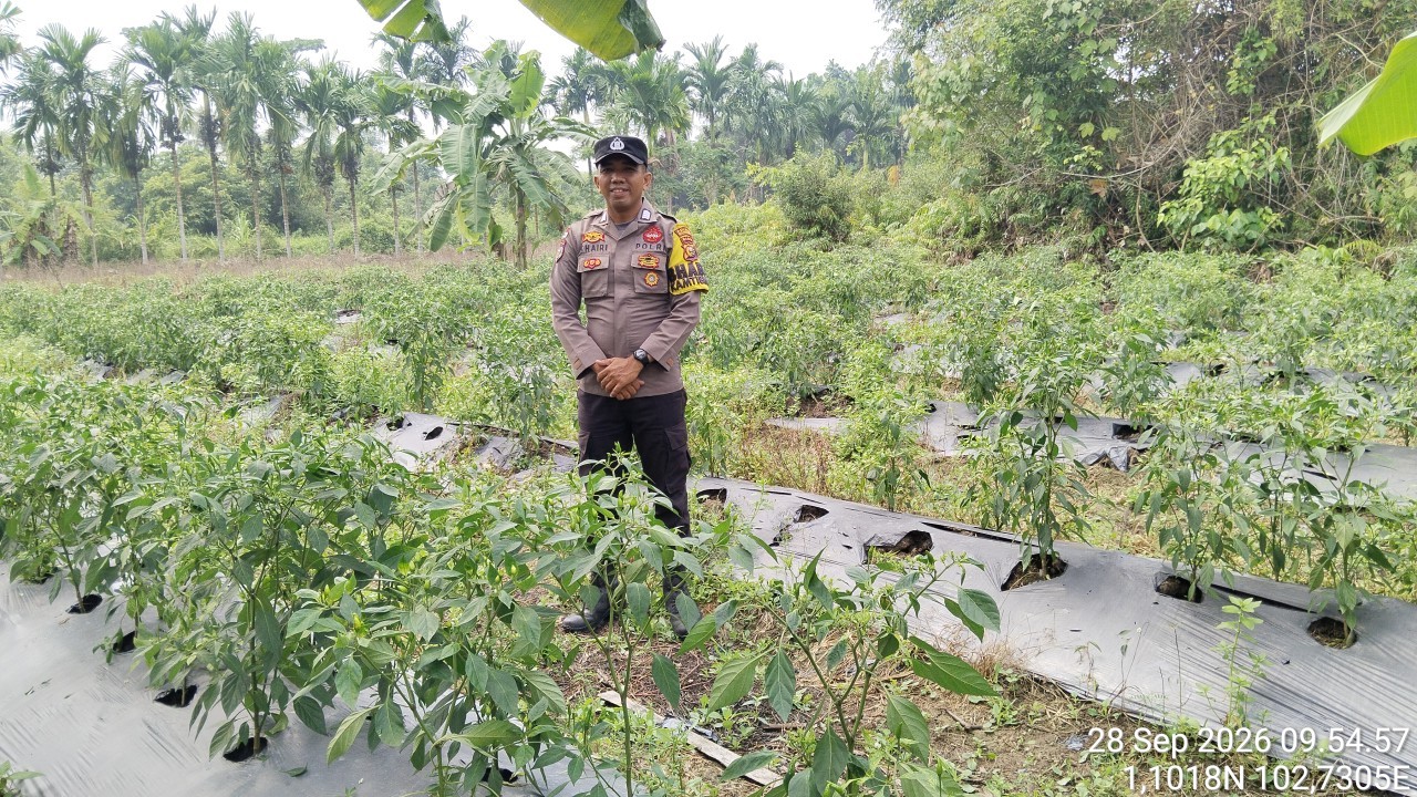 Dukung Program Ketahanan Pangan di Desa Sonde, Polsek Rangsang Cek Lapangan 