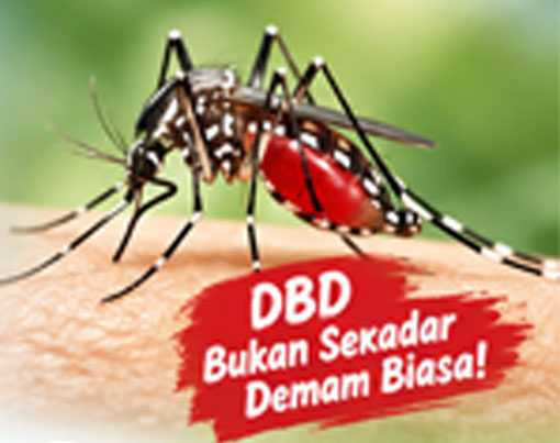 Waspada DBD! Demam Dikira Biasa, 3 Warga Pekanbaru Meninggal