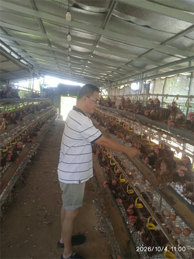 Sumartono tinjau kandang ternak Kelompok Tani Bina Karya. (Foto: ist)