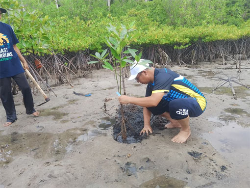 Bupati Aneng dan Dekranasda Tanam 150 Bibit Mangrove, Dorong Kelestarian Pesisir Anambas