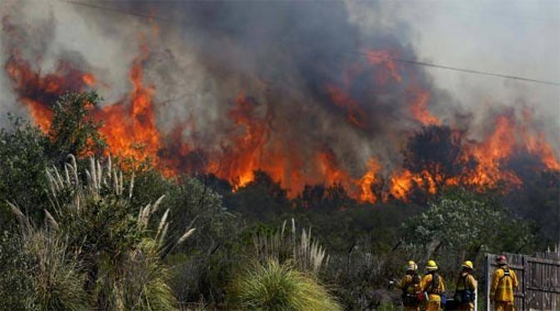 Hamparan lahan hangus terbakar di Riau. (Foto: ist)