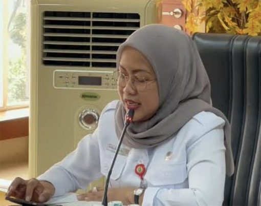 Vera Angelika O.K., S.T., M.T., Kepala Dinas DPMPTSP Provinsi Riau. (Foto: ist) 