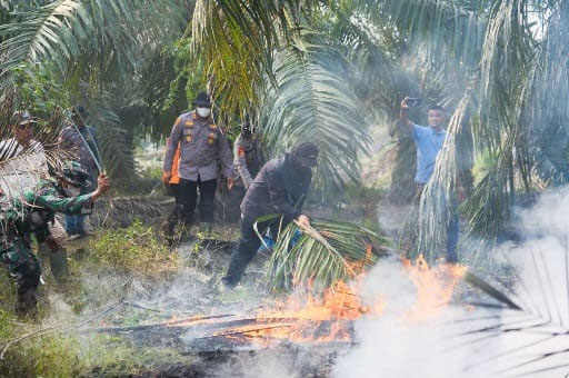 Bupati Siak Afni Zulkifli yang sempat turun tangan memadamkan api dengan pelepah sawit. (Foto: dokumen)